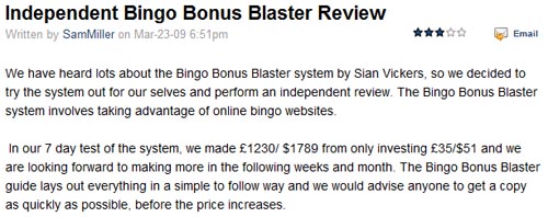 Bingo System Review 2